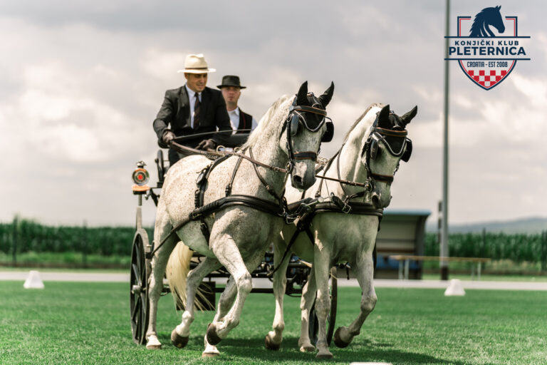 Danko Drobnjak u vožnji dvoprega osvojio 6.mjesto u 1.kolu Prvenstva Hrvatske
