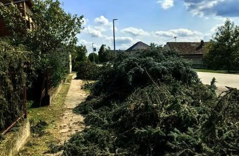 Potpisan ugovor za nabavu i sadnju stabala na gradskim ulicama u Otoku
