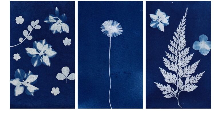 Odobrena sredstva za provedbu velikog projekta u Gunji