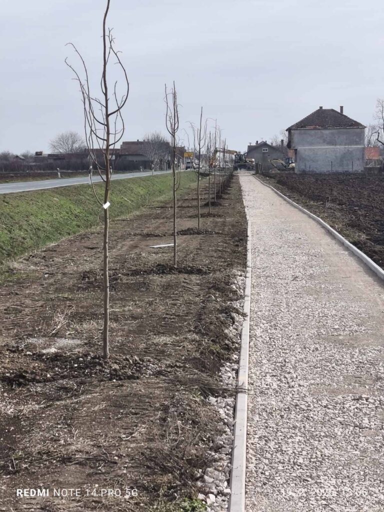 Općina Stari Jankovci planira zasaditi više od 800 novih stabala